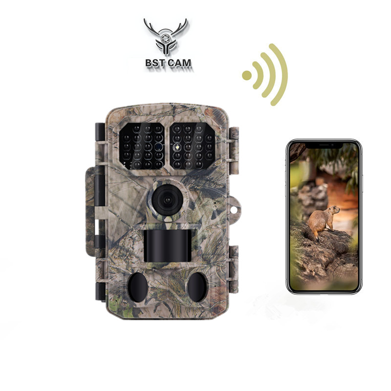 How Does a Trail Camera Improve Your Hunting Experience?