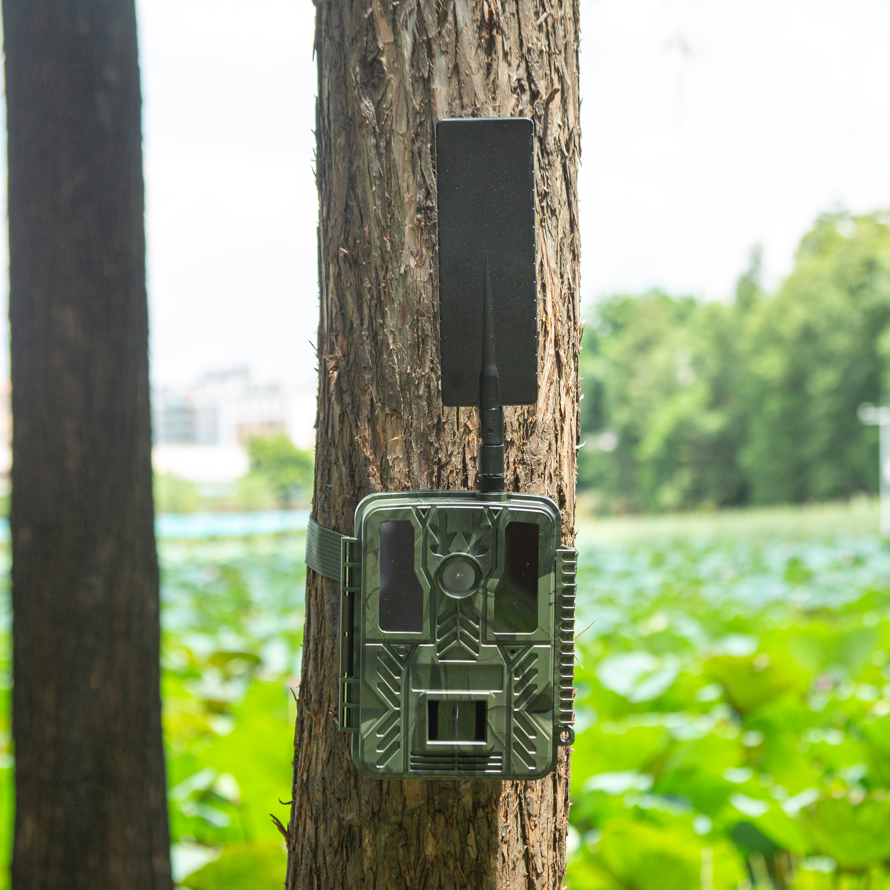 4G Wireless Hunting Trail Camera with Waterproof IP67 And Night Vision