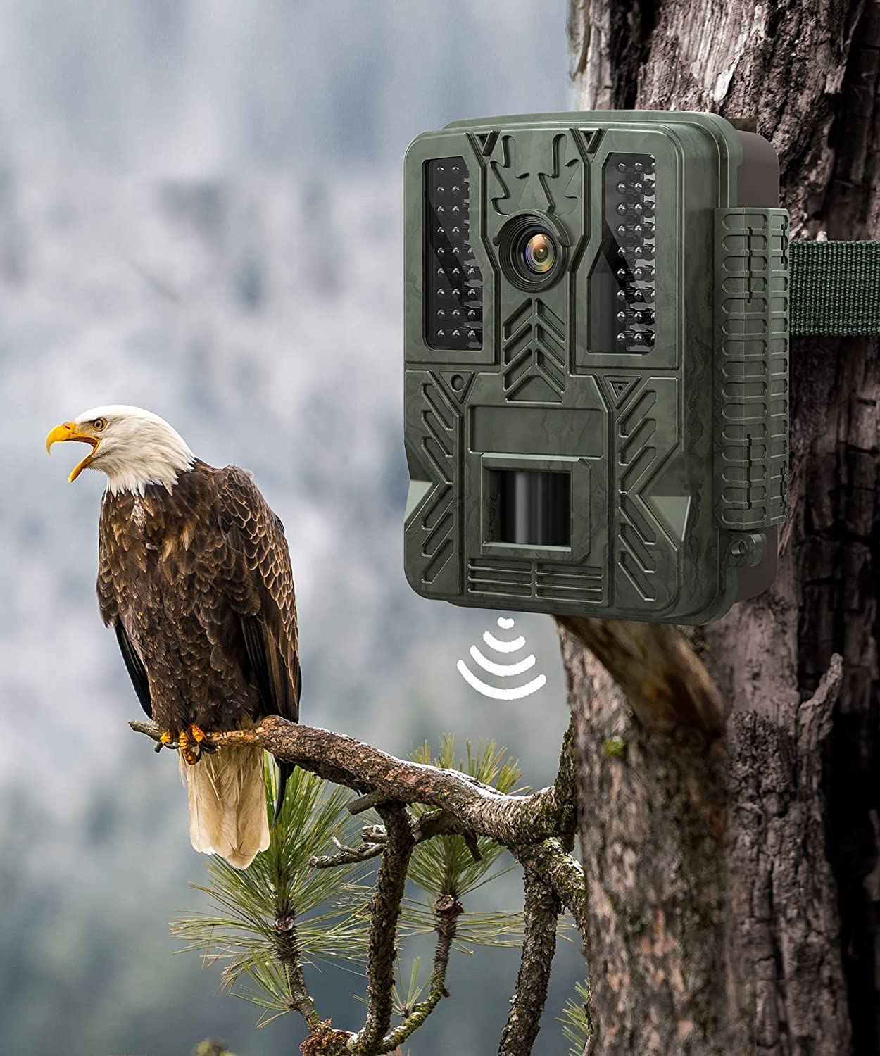 wifi hunting trail camera 