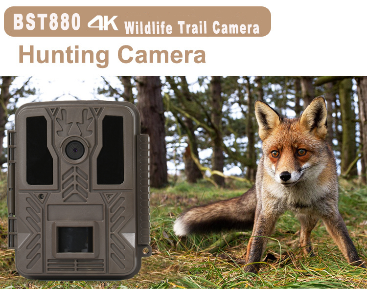 BST880 4K hunting camera