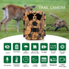  Hoting BSTCAM 4K 48PM Bluetooth&WiFi Wide Angle App Control Waterproof Grade IP65 Wildlife Monitoring Trail Camera