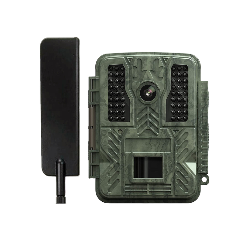 Trail Camera 4G Wireless IP67 Waterproof Hidden 4G Hunting Camera 36MP 1080P Support FTP