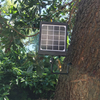 8000amh Solar Panel Charger Kit for Wildlife Tracking Camera